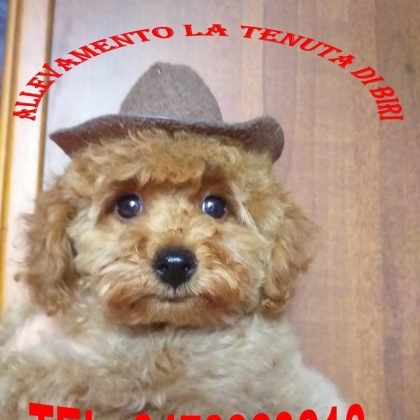 291103358_380344797563873_3820569267019707359_n