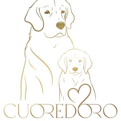 Allevamento-GOLDEN-CUOREDORO-