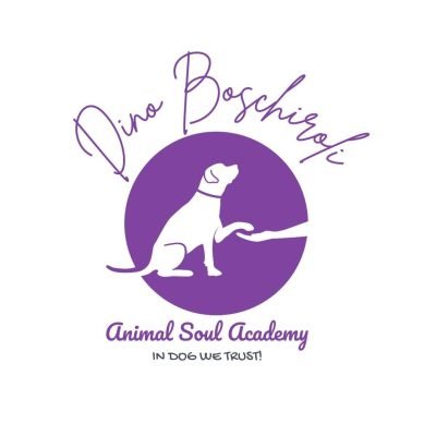 Animal-Soul-Academy