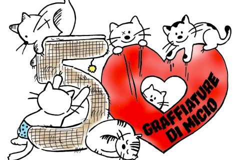 Associazione-50-graffiature-di-micio-ODV