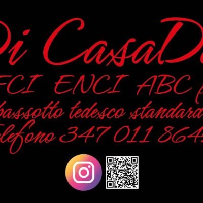 Casa Dark