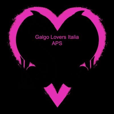 Galgo-lovers-italia-aps