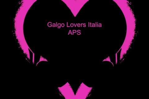 Galgo-lovers-italia-aps