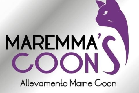 Maremma's Coon Logo