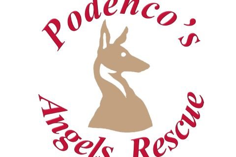 PODENCOS-ANGELS-RESCUE