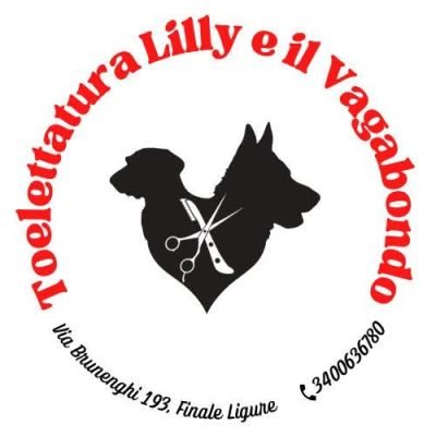 Toelettatura-Lilly-e-il-Vagabondo-