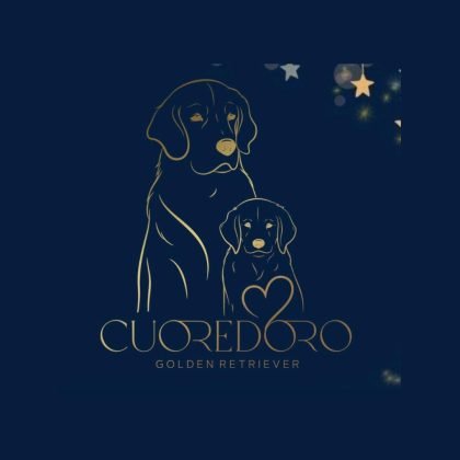 cuore doro