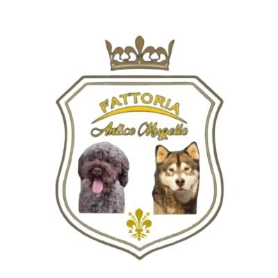 fattoria-antico-mugello